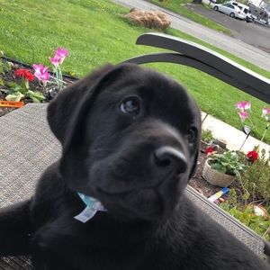 Meet your Posher, Kristina